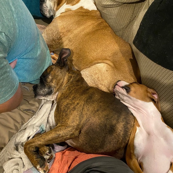 Meet your Posher, Todd - Picture 7 of 11